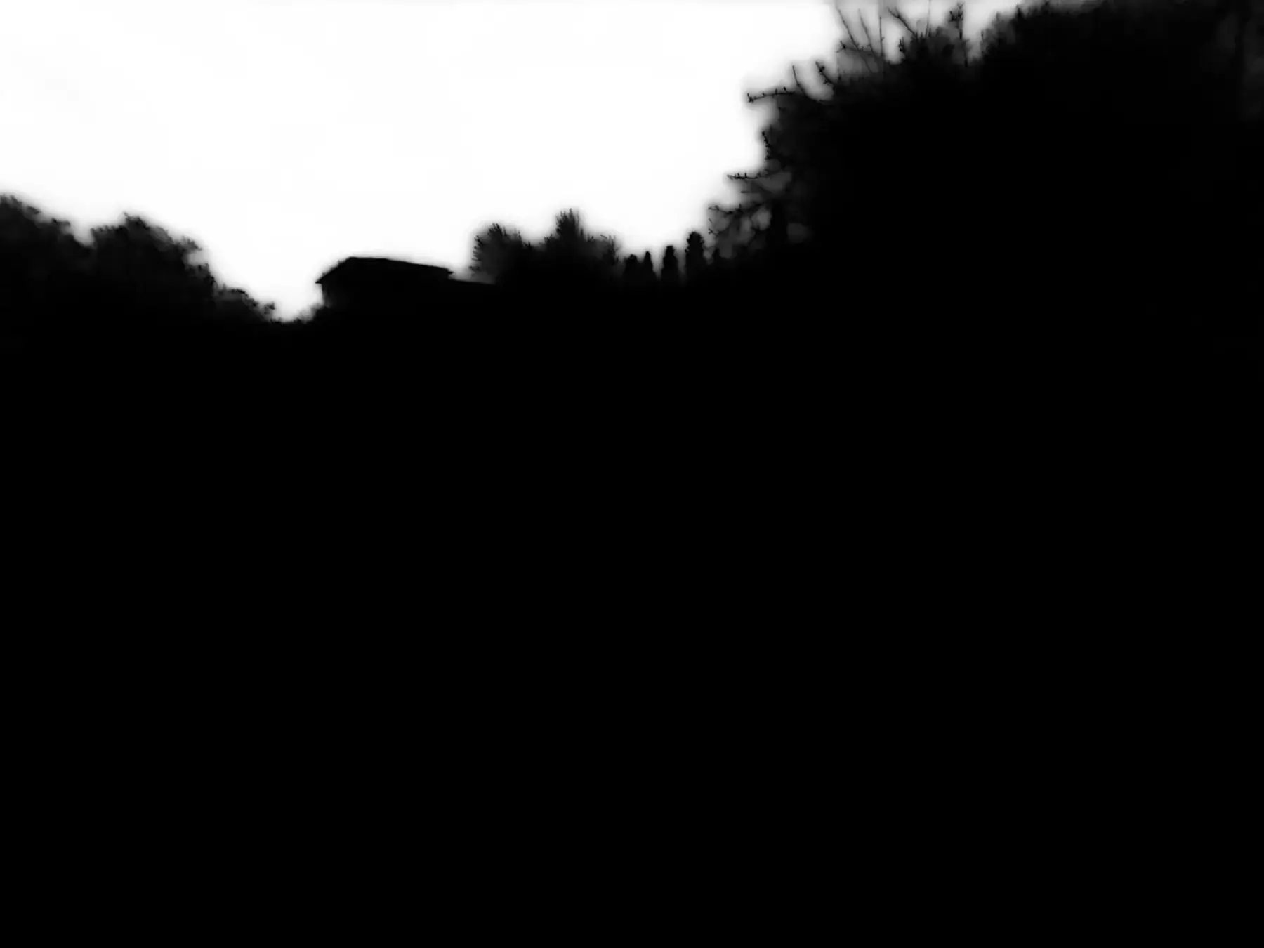 Alberi e paesaggio in controluce